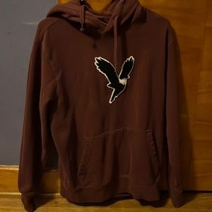 American Eagle Soft Eagle Logo Hoodie